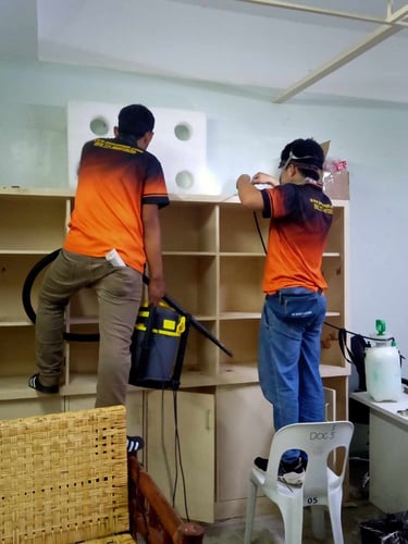 Professional pest control service technicians inspecting office shelving for termite infestation.
