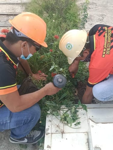 Two professional pest control technicians in hard hats inspecting a garden for termite activity.