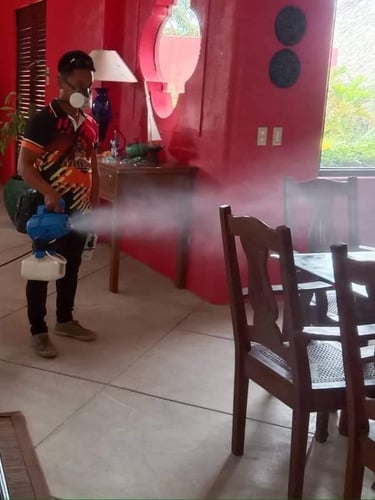 A pest control professional uses a fogging machine to disinfect a residential dining room.