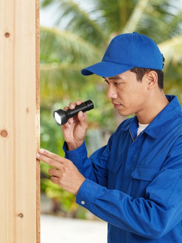 Bright professional photography of a pest control technician in a clean blue uniform inspecting structural wood with a flashlight, natural tropical daylight, sharp focus