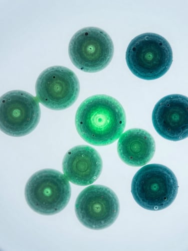 Macro close-up of microscopic cellular microalgae structures, glowing with subtle emerald and deep teal bioluminescence under cool, crisp laboratory light, sterile white background, 50mm.