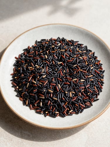 Overhead flat-lay of traditional Haitian griot and black rice on a textured ceramic plate, bright natural Florida sunlight, soft shadows