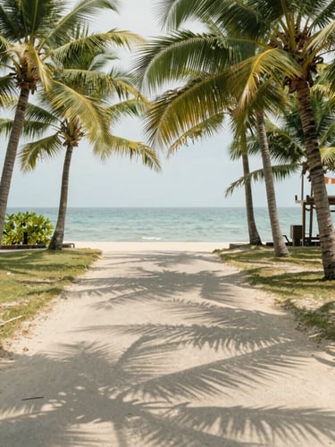 Bright natural daylight photo of a quiet coastal road in South Phuket, palm trees casting soft shadows on a sandy path, 35mm lens