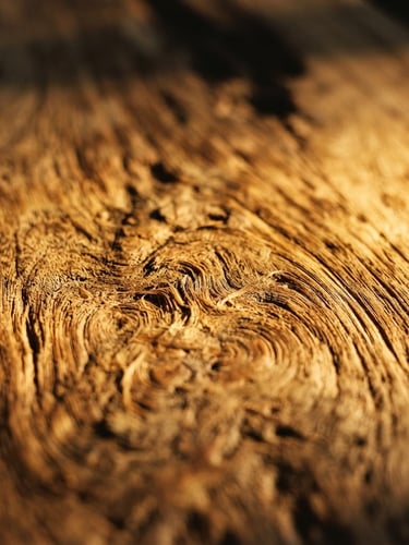 Close-up of rich raw teak wood grain with golden sunlight highlighting the organic fibers, warm tones, shallow depth of field, 35mm editorial photography