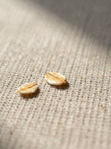 Macro close-up of raw oatmeal-colored Belgian linen weave, showing high-density fiber slubs and thick structural threads under low raking afternoon sunlight, 35mm.