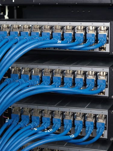 Close-up of an immaculate server rack, perfectly organized technical blue ethernet cables, clean cable management, sharp daylight