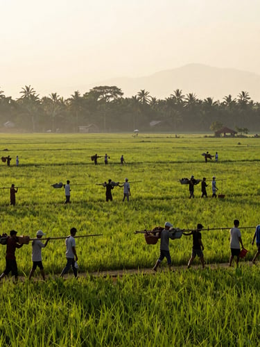 Foto lanskap sawah hijau Desa Mekarwangi di pagi hari, siluet warga berjalan bergotong royong membawa peralatan pertanian, cahaya matahari pagi yang hangat.