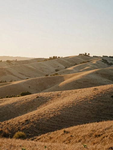 A wide view of the quiet Yucaipa foothills landscape at golden hour, soft warm light illuminating the rolling hills, 35mm film style