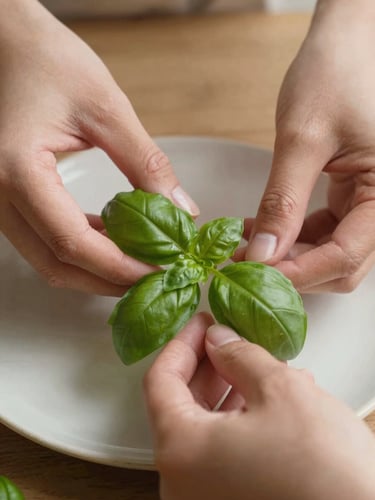 A close-up vertical shot of hands carefully placing a fresh basil leaf on a plate, captured in soft, diffused north-facing daylight with rich shadows.