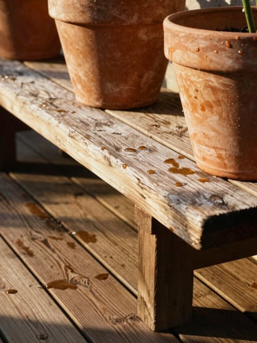 Close-up of weathered timber bench holding heavy terracotta pots on a textured cedar deck, water droplets pooling on the wood grain, golden hour light