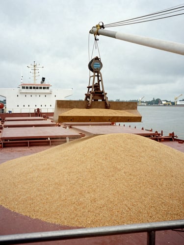 Wide environmental logistics shot of a bulk cargo ship being loaded with grain at an industrial port, overcast natural daylight, desaturated earth tones, 35mm.