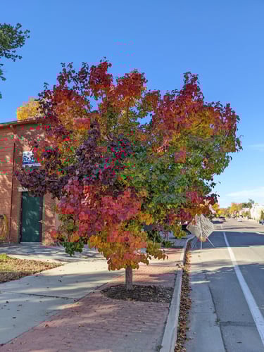 Fall Colors - Oct 2022 - Casey Grace