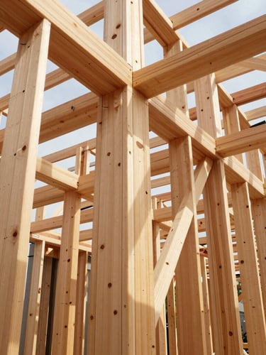 Low-angle architectural shot of clean timber framing lines cutting through natural daylight, sharp shadows, structural precision