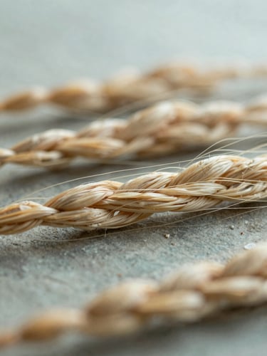 A close-up of natural flax fibers woven together, soft morning light, shallow depth of field, 35mm