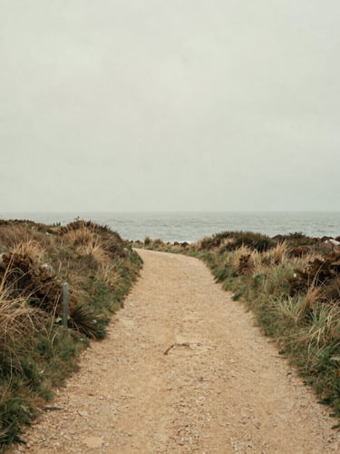 Wide shot of a rugged Breton coastal path leading towards a misty ocean horizon, soft overcast daylight, muted sage and warm sand tones, atmospheric film photography, 35mm lens