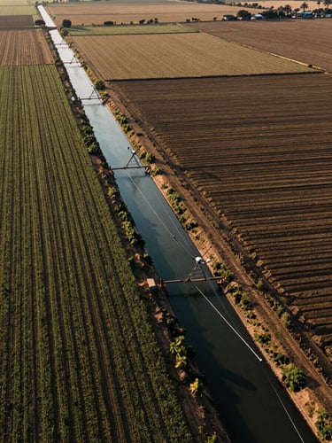 Close overhead study of an irrigation canal cutting through large-scale agricultural fields in sub-Saharan Africa, geometric crop rows visible from above, early morning light casting long parallel shadows, muted earth tones