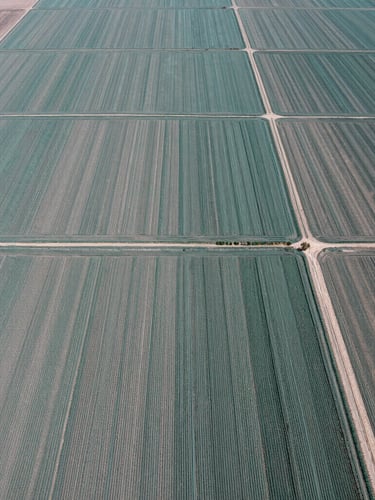 Top-down aerial perspective of organized agricultural fields in Nineveh plains, sharp technical daylight photography, teal accents.