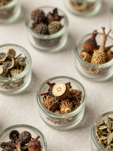 Close-up overhead view of dried botanical herbs arranged in small glass vials on a pale linen surface, soft north-facing daylight, shallow depth of field highlighting root cross-sections and seed pods, clinical and precise