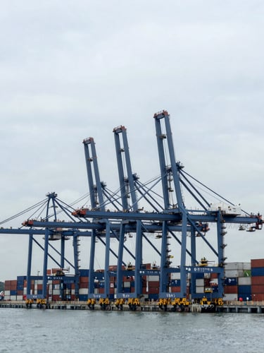 Wide-angle architectural perspective of a modern deep-water container terminal in Singapore, towering gantry cranes, cool overcast daylight, maritime silver and navy tones.