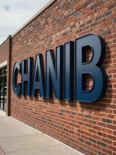 Wide environmental shot, close to street level, of a bold channel-letter sign mounted on a brick retail storefront at midday — overcast natural light, no direct sun. The signage fills the right two-thirds of the frame, with the building facade and sidewalk edge visible to the left. Lettering is crisp and deep-set; you can see the shadow of each letter against the brick. No people, no cars in motion — just the installed work in context.