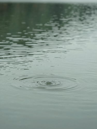 Macro shot of gentle water ripples on a quiet lake surface under overcast daylight, muted tones, 35mm