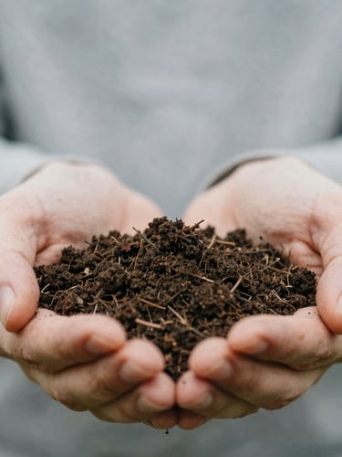 Extreme close-up of dark, rich organic soil held in hands, soft overcast daylight, muted earth tones, architectural macro framing, 35mm film.