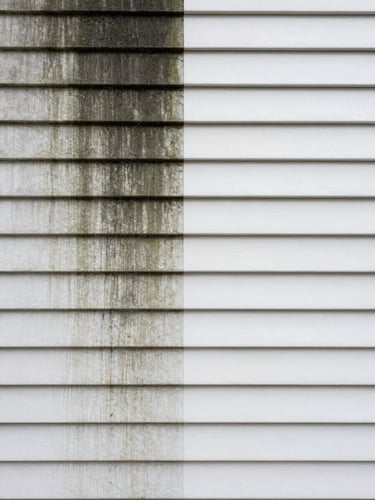 Split before–after of a residential vinyl siding facade in the Rive-Sud: left half shows dark grey-green mold streaks and cobwebs on white vinyl panels under overcast daylight; right half shows the same panels gleaming clean and bright after pressure washing, true color, no filter