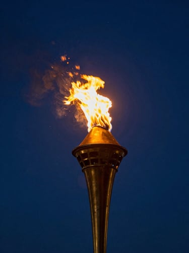 A book cover with a burning gold torch against a dark night sky, high-contrast dramatic sanctuary lighting