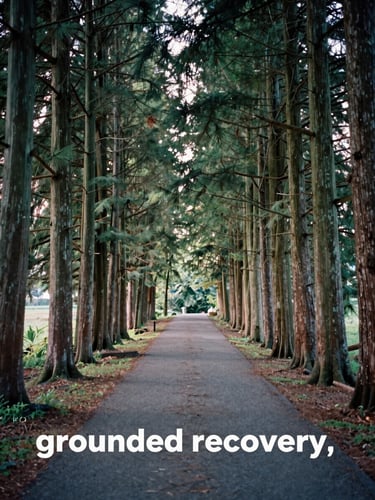 A quiet outdoor path winding through tall cedar trees, soft diffused morning light filtering through branches, representing grounded recovery.