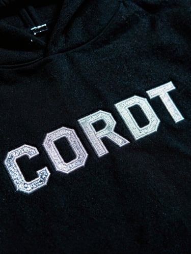 Extreme close-up of heavy cotton hoodie texture, high-contrast black fabric with bold metallic embroidery, gritty film grain, harsh night lighting.