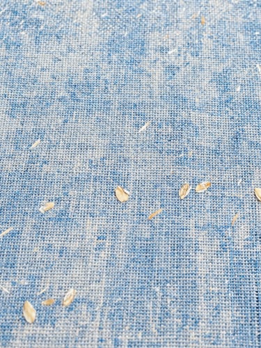 Close-up macro shot of textured oatmeal-colored linen fabric, showing the intricate weave and natural slubs, bright natural daylight, 35mm