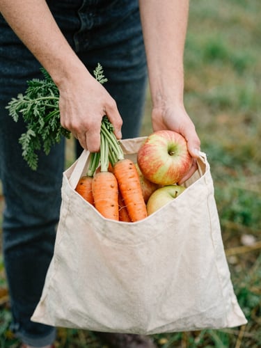 Warm hands of a volunteer placing fresh organic carrots and apples into a clean canvas bag, soft natural Pacific Northwest daylight, 35mm film look.