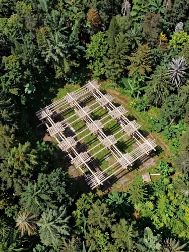 Overhead high-altitude drone orthomosaic mapping view of a structured timber plantation, crisp daylight, deep forest greens, technical grid lines faintly visible.