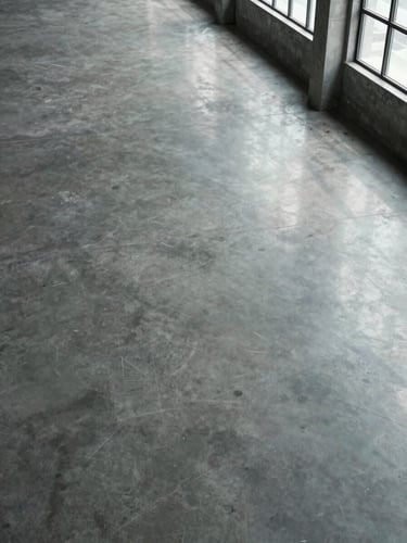 Close overhead shot of a vast polished concrete industrial floor, cool daylight raking across the surface from high windows to the right, every reflection sharp and undisturbed, no figures present