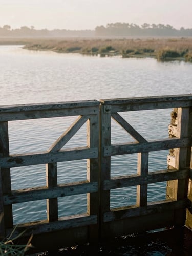 Close-up of a timber-framed water control gate installed in a marshy wetland, soft late-afternoon sun glinting off the water, rugged construction.