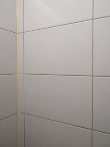 Close-up of large-format tile installation in a bathroom shower niche, grout lines fresh and even, natural overcast daylight, trowel marks visible on adjacent mortar bed, documentary framing