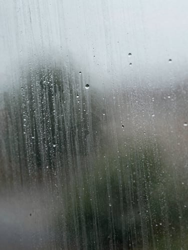 Extreme close-up of a window pane surface shot in flat overcast daylight, dried water marks and grime clearly visible across the glass texture, no hands or tools in frame, abstract documentary quality