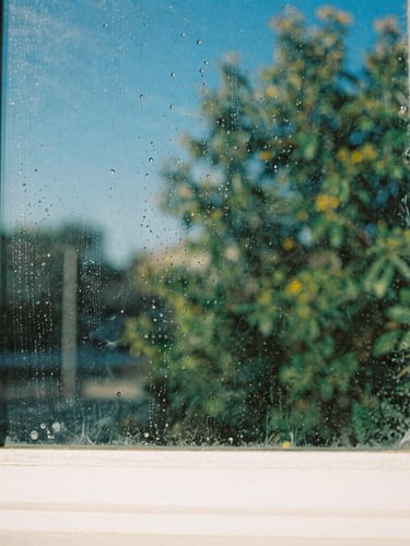 Bright outdoor photography of a clean window pane reflecting bright blue skies and green trees, water droplets sheeting off the glass, crisp morning sunlight, vivid retro color palette, sharp focus, 35mm film aesthetic.