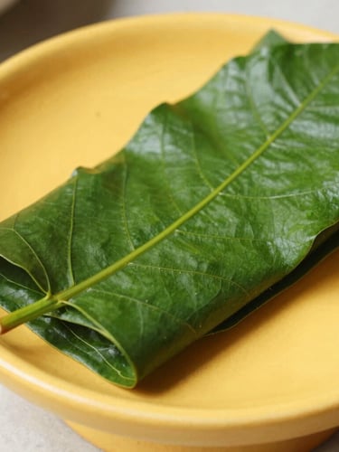 Macro close-up shot of a freshly folded deep green betel leaf resting on a vibrant warm saffron ceramic pedestal, bright natural daylight, soft shadows, premium food photography style