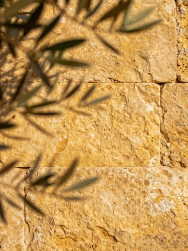Close-up of ancient golden stone wall in Provence with soft shadows of olive leaves, warm morning light, minimalist composition.