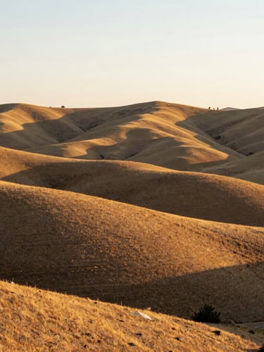 Wide environmental shot of the sweeping Boise foothills at golden hour, warm natural light illuminating the rolling hills, clean composition, shallow depth of field, 35mm.