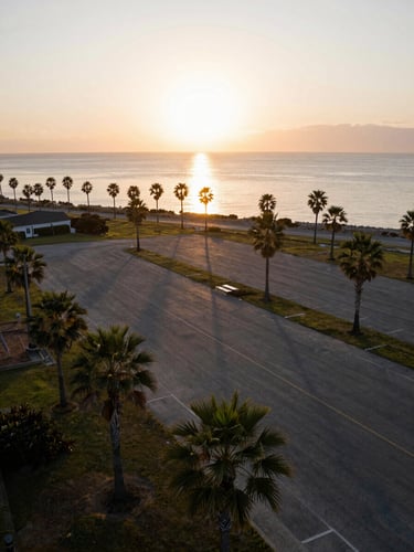 Drone-level wide shot of a palm-lined coastal vacant lot at golden hour, warm sunset light reflecting off calm water in the background, clean composition.