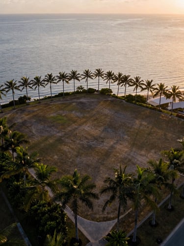 Aerial drone shot of a pristine, palm-lined vacant coastal lot at golden hour, calm sea in the background, warm sunset light reflecting on quiet water