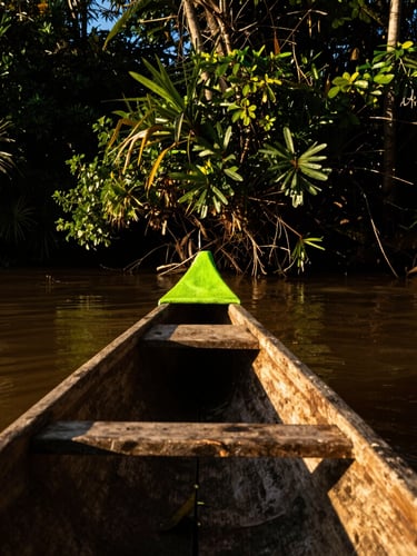 Raw close-up of a traditional wooden canoe on the Magdalena River, dense tropical vegetation, golden hour over the river, high-contrast dramatic sunlight, deep shadows, dynamic low-angle, 35mm lens
