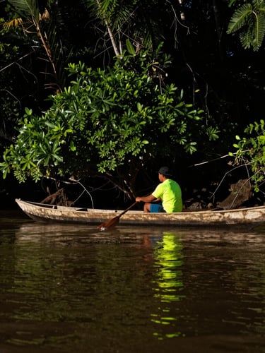 Portrait shot of a traditional wooden canoe on the Magdalena River, a local fisherman in the canoe, dense tropical vegetation on the river banks, high-contrast dramatic sunlight, deep shadows, low-angle, cinematic action photography.
