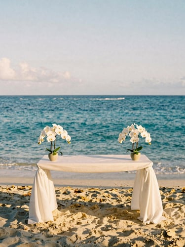 Wide environmental shot of a luxury beach wedding altar on Anse Source d'Argent, white orchids, warm golden-hour light, medium format film.