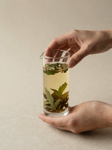 Hands carefully preparing a traditional botanical infusion in a minimalist glass vessel, soft side-shadows, warm earthy tones, 35mm photography