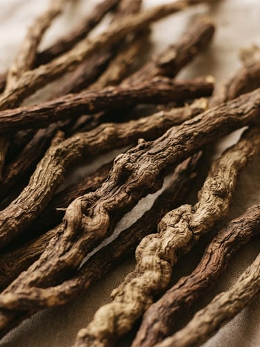 Warm editorial photography of raw textured licorice roots on a soft sand beige background, organic shadows, soft diffused Nordic daylight, 35mm