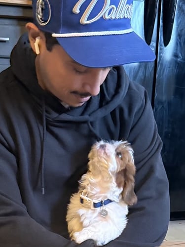 Mal-Shi Puppy looking lovingly into daddy's eye in Dallas Texas.