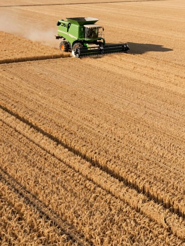 High-angle panoramic view of geometrically perfect grain fields under sharp morning light, clean lines of a modern green combine harvester in the upper third, high-contrast industrial aesthetic.